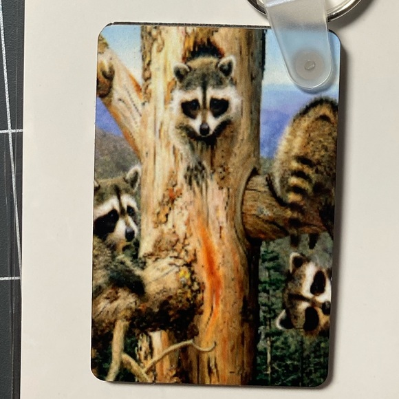 RatCoon -Key Chain - Picture 2 of 2